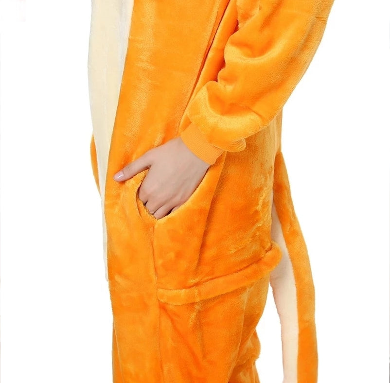 Charizard Adult Costume